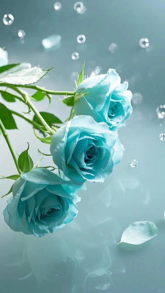 all colour rose flower wallpaper