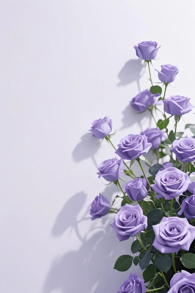 all colour rose flower wallpaper
