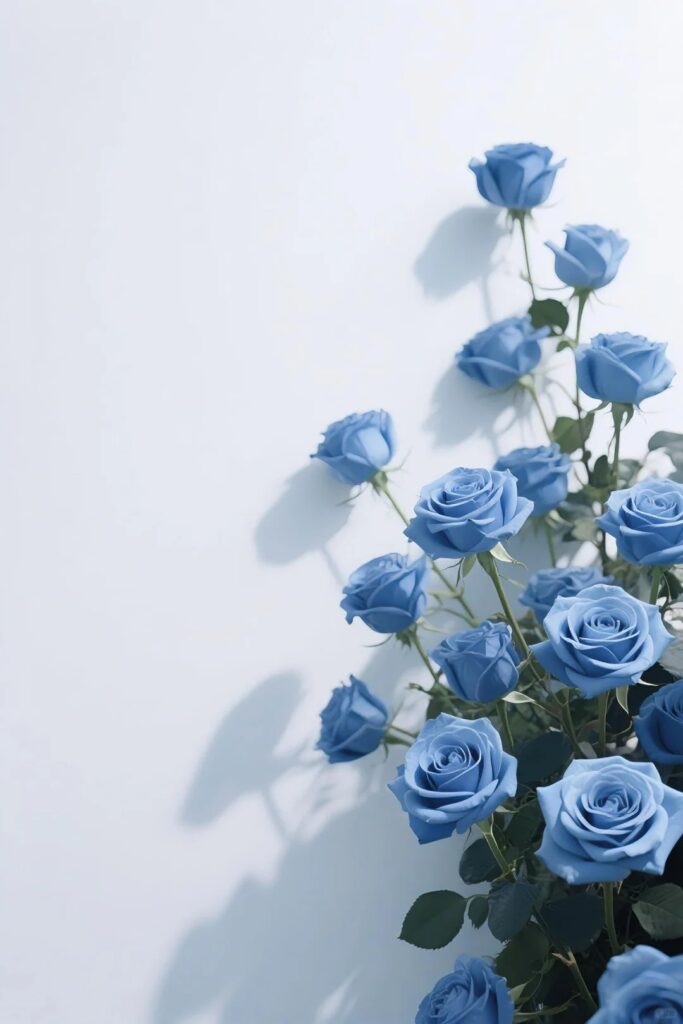 all colour rose flower wallpaper